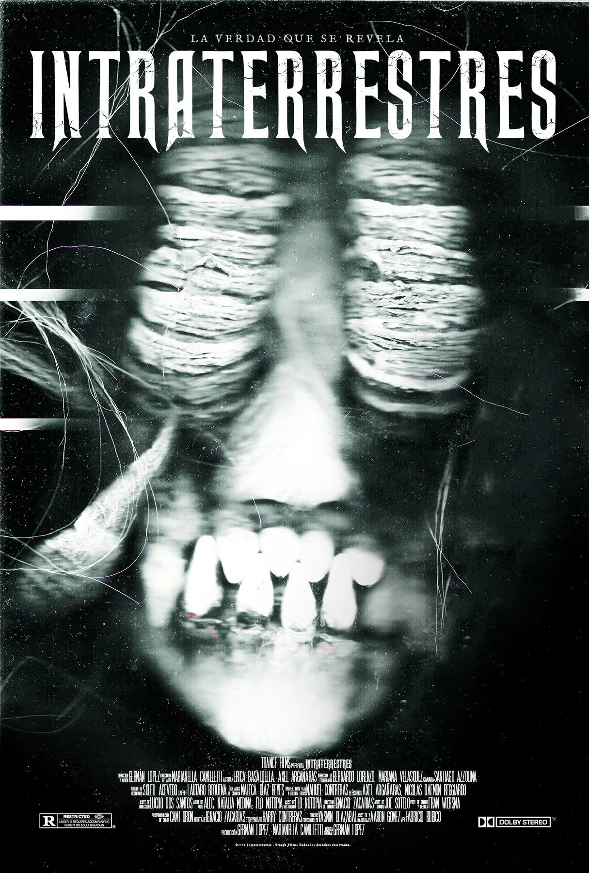 موجودات درون‌زمینی