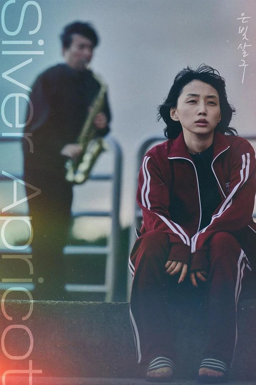 زردآلو نقره‌ای