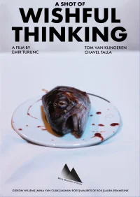 یک شات از تفکر آرزومندانه