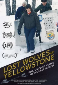 Lost Wolves of Yellowstone
