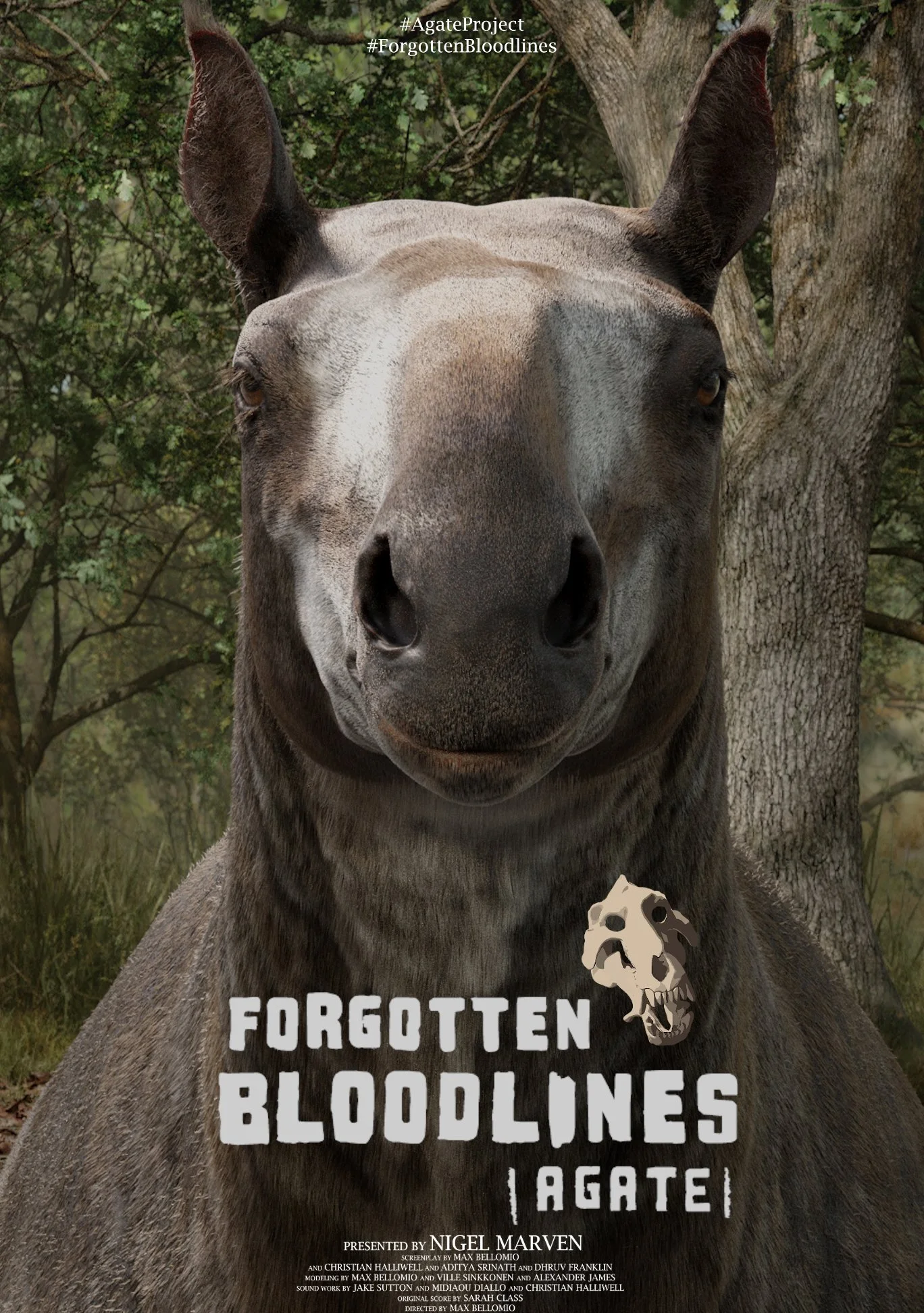 خون‌های فراموش‌شده: آگات