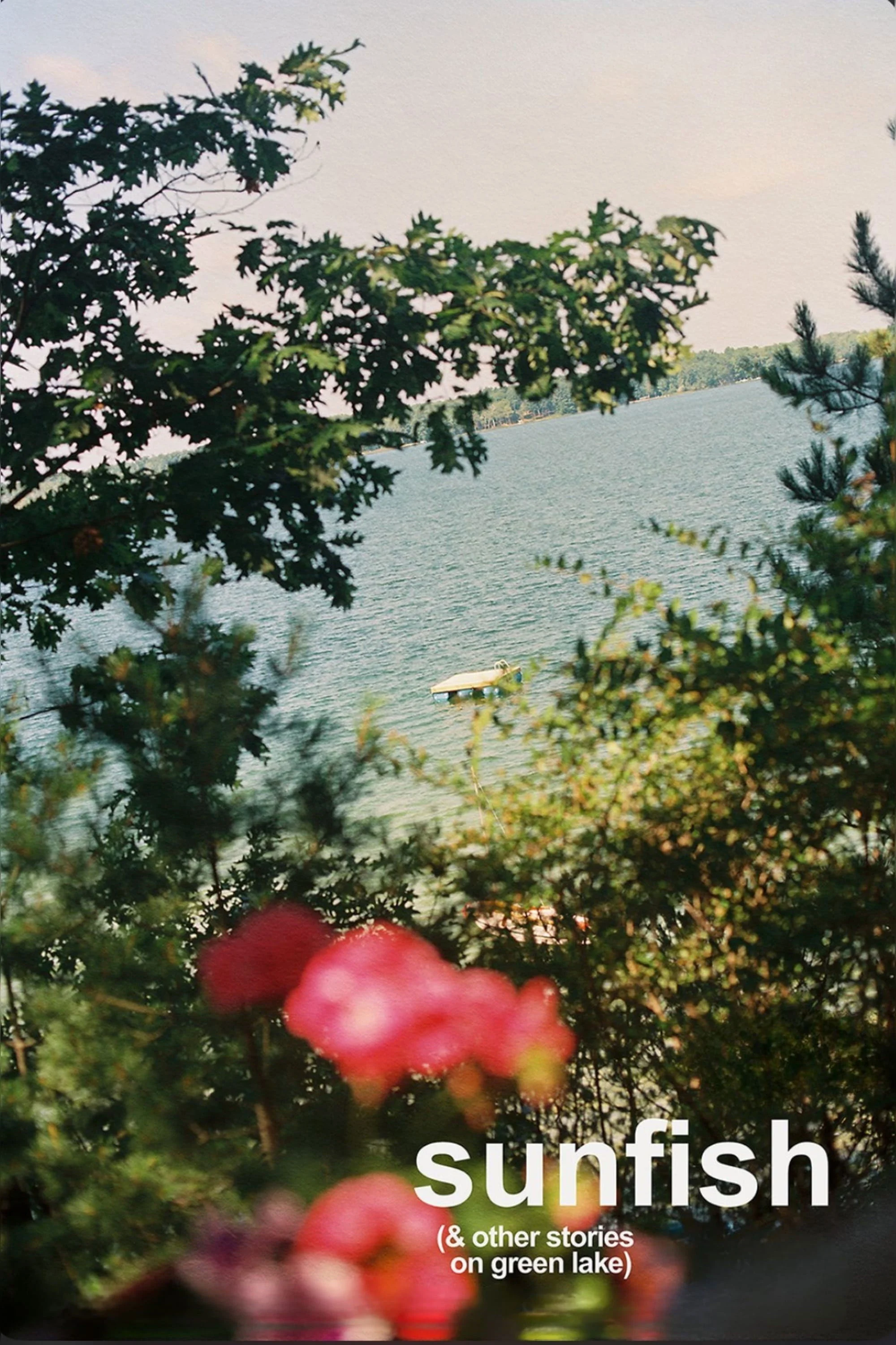 ماهی خورشیدی (و داستان‌های دیگر در دریاچه سبز)