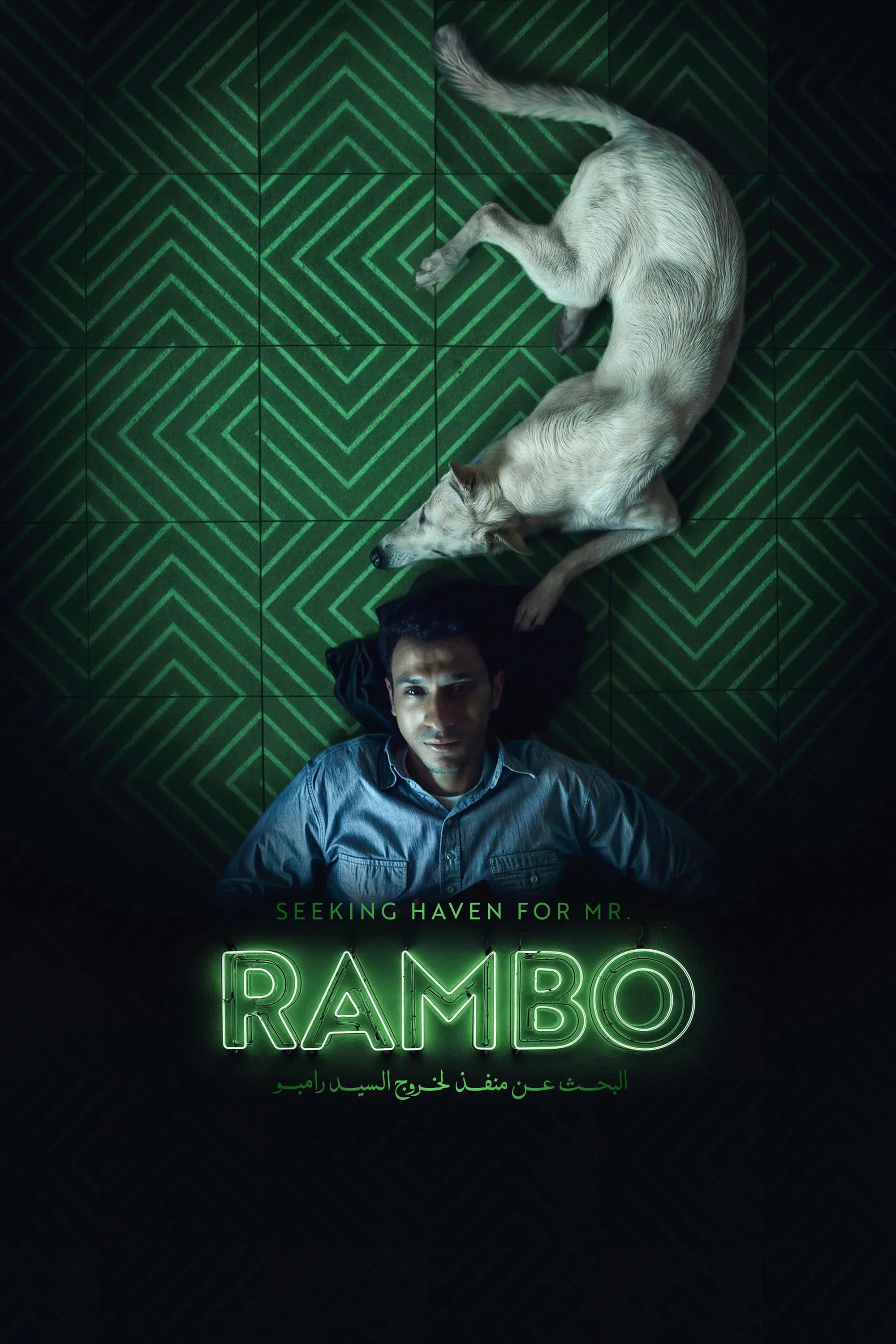 در جستجوی پناهگاهی برای رَمبو