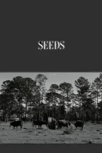 Seeds