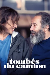 Fallen from the Truck