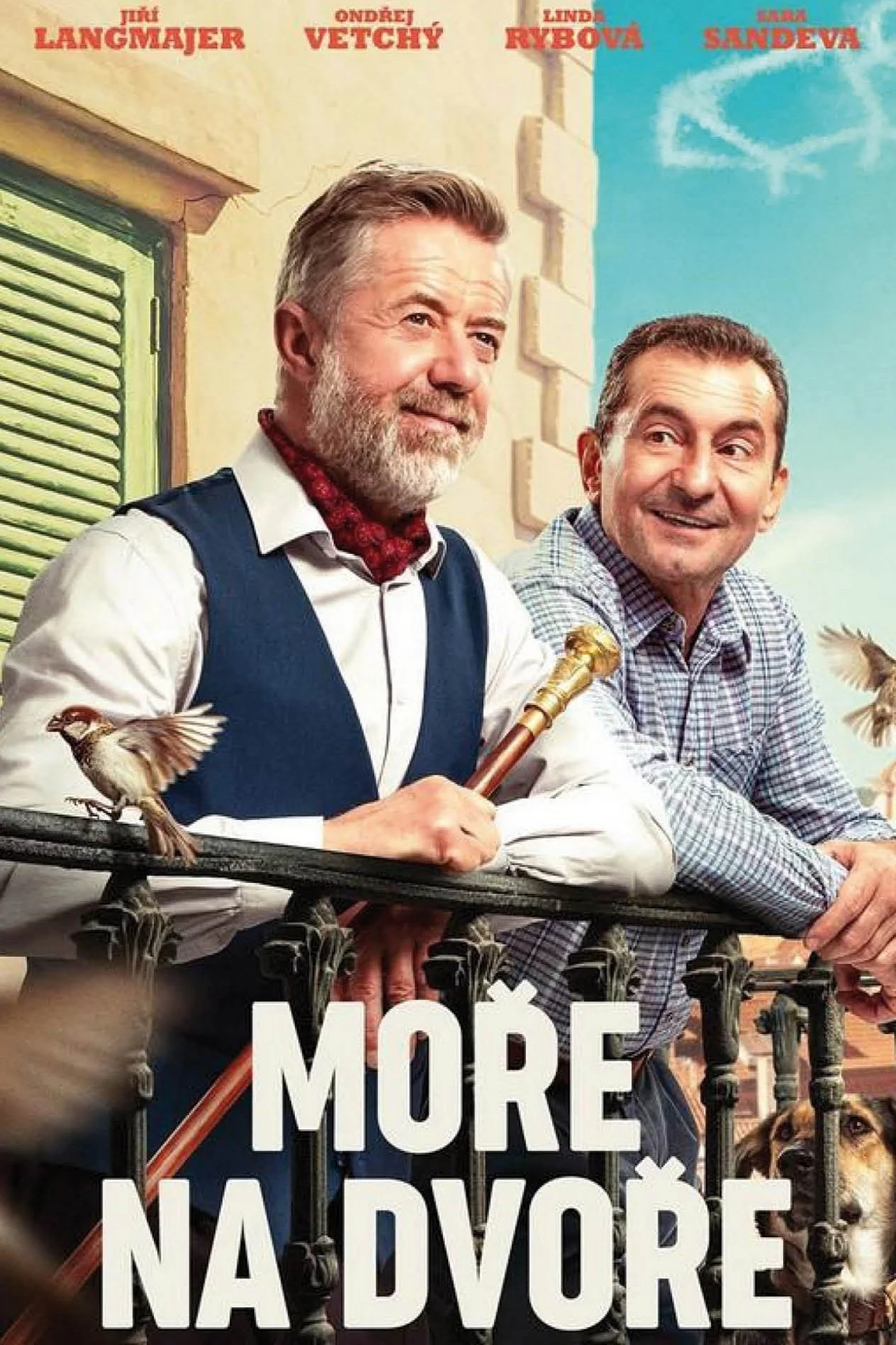 دریا در حیاط