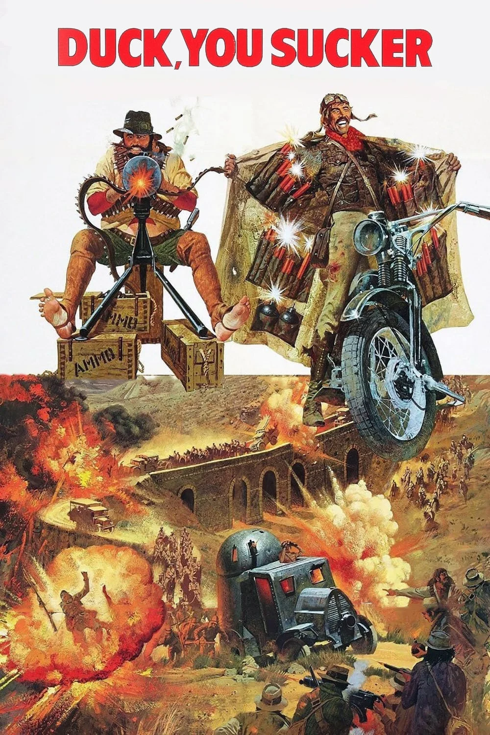 سرت را بدزد، احمق!