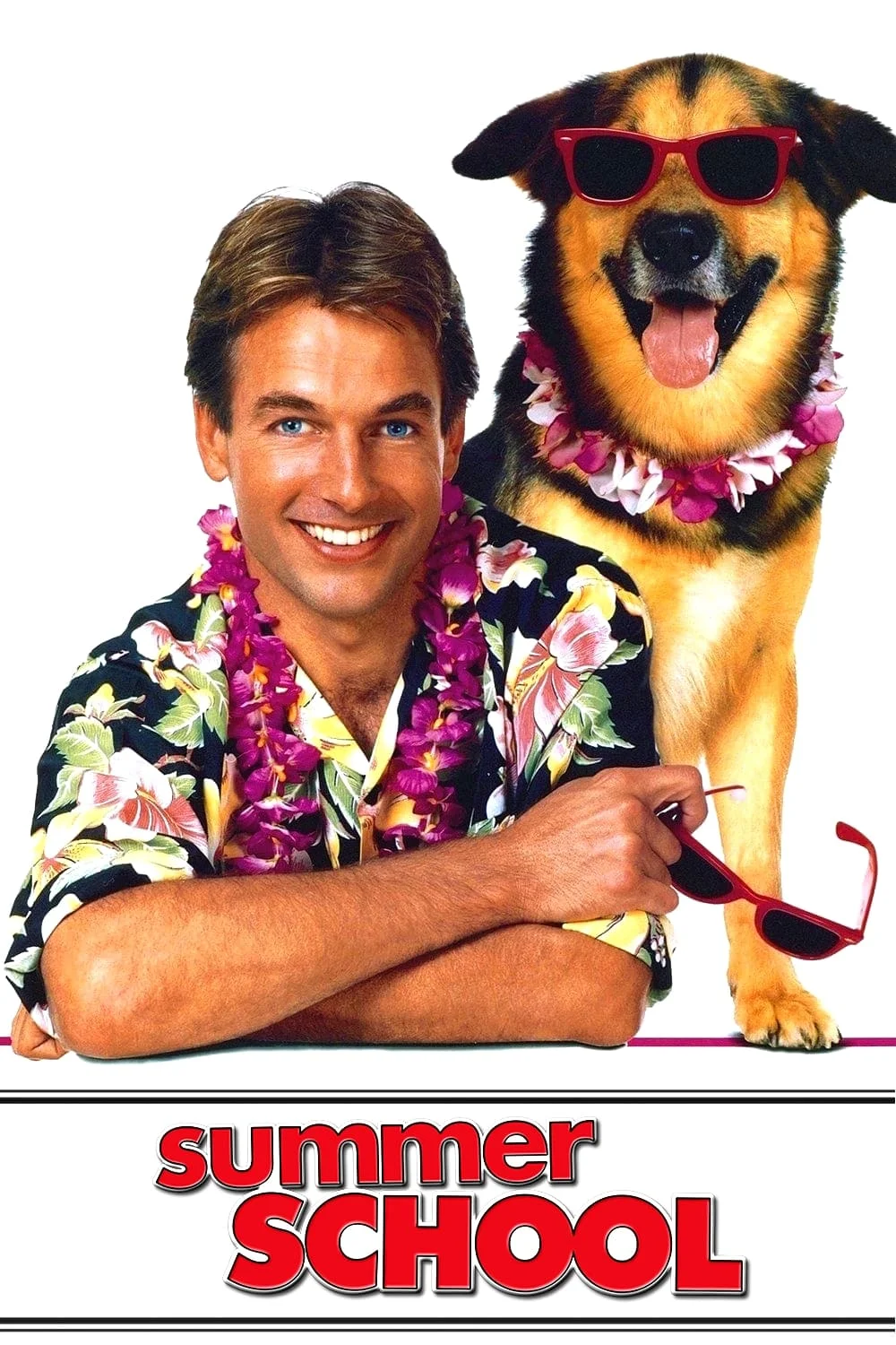 مدرسه تابستانی