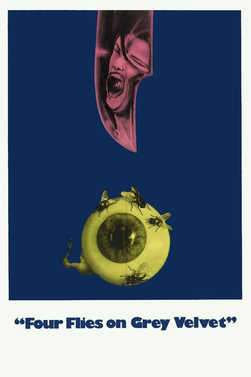 چهار مگس روی مخمل خاکستری