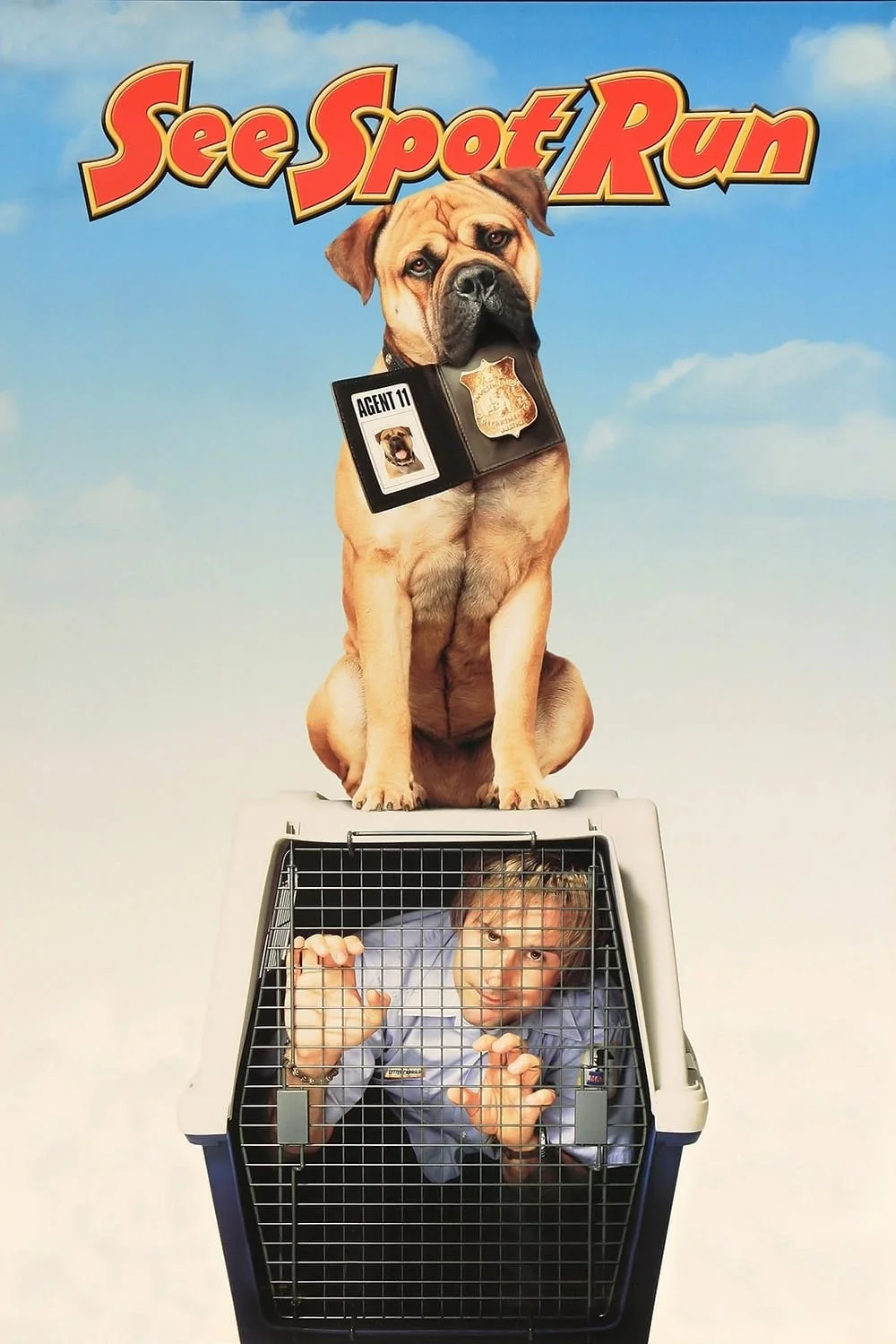 اسپات را ببینید