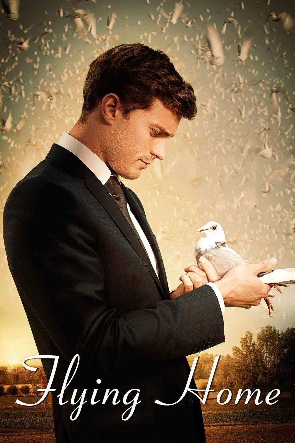 پرواز به خانه