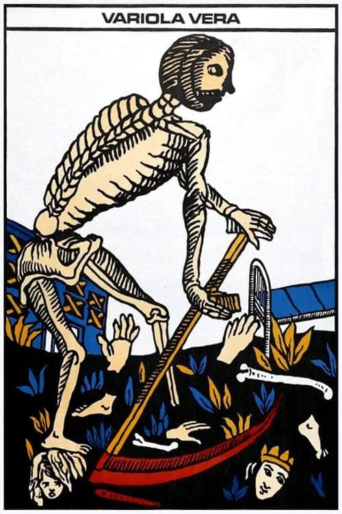 ویریولا ورا