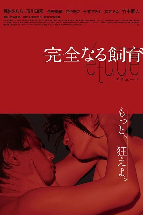 آموزش کامل: مطالعه