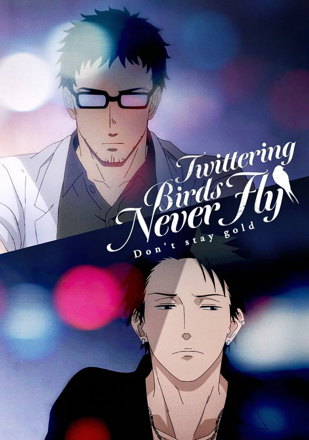 پرندگان توییتر هرگز پرواز نمی‌کنند: طلایی نمانید