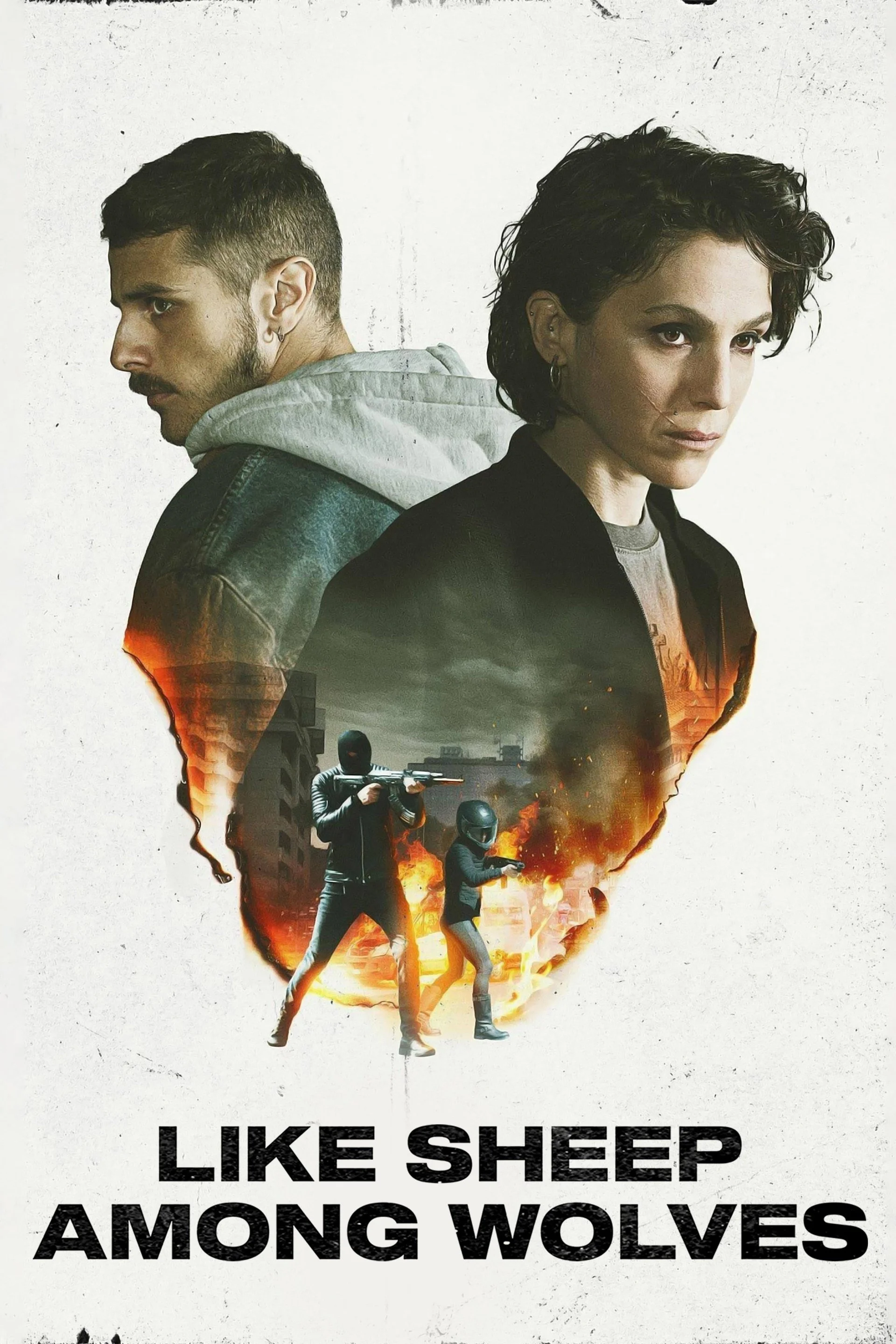 مانند گوسفند در میان گرگ‌ها