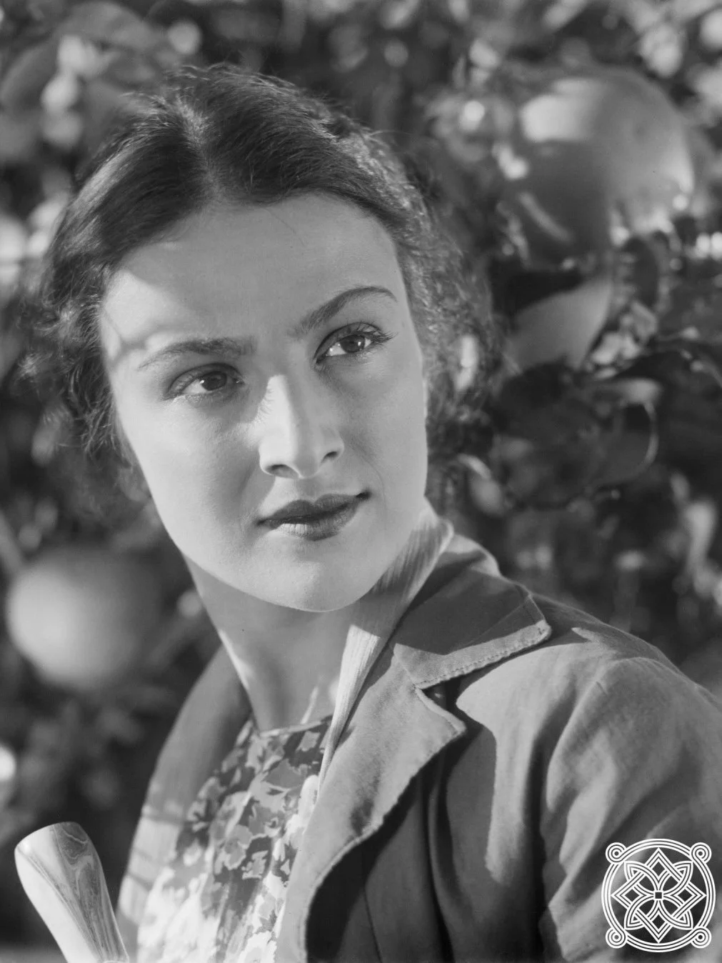 چراغ‌های کولخیس