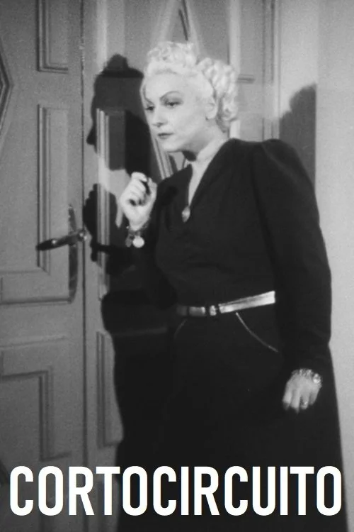 کورتوچیرکیتو