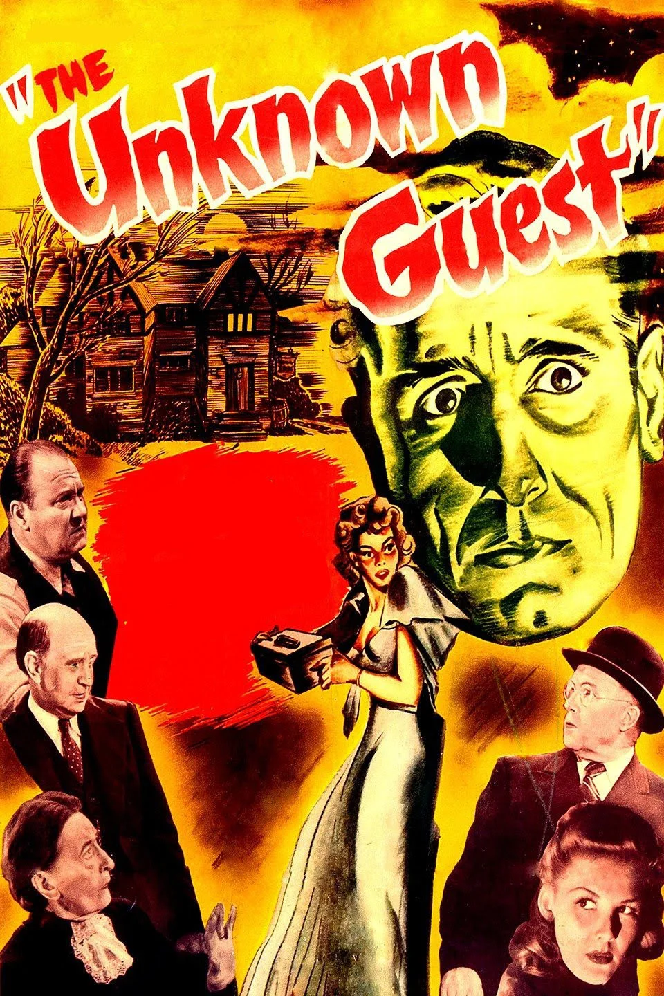 مهمان ناشناس