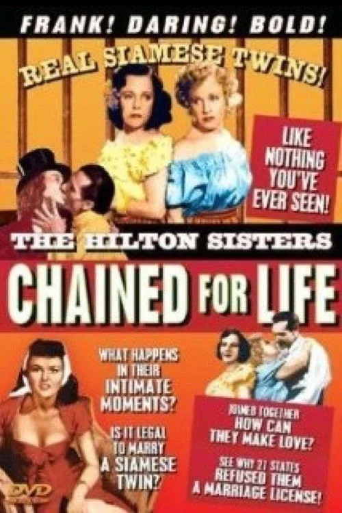 شب بدون وداع