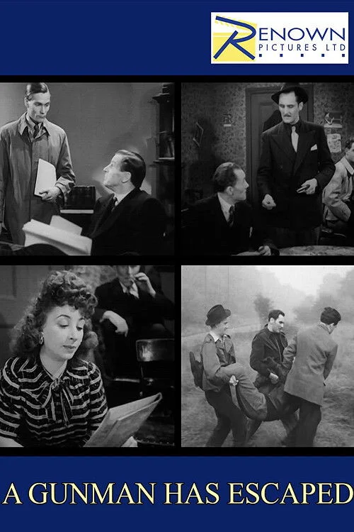 یک تبهکار فرار کرده است