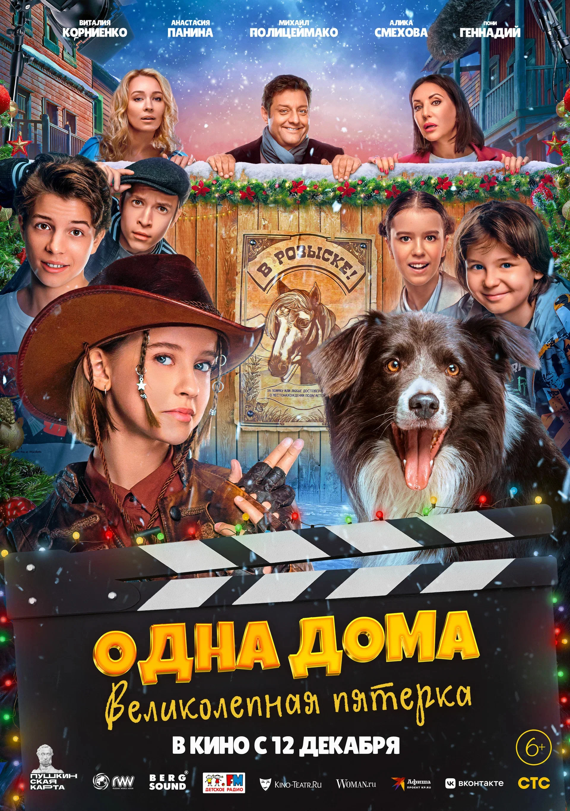 تنهایی در خانه. پنج نفر فوق العاده