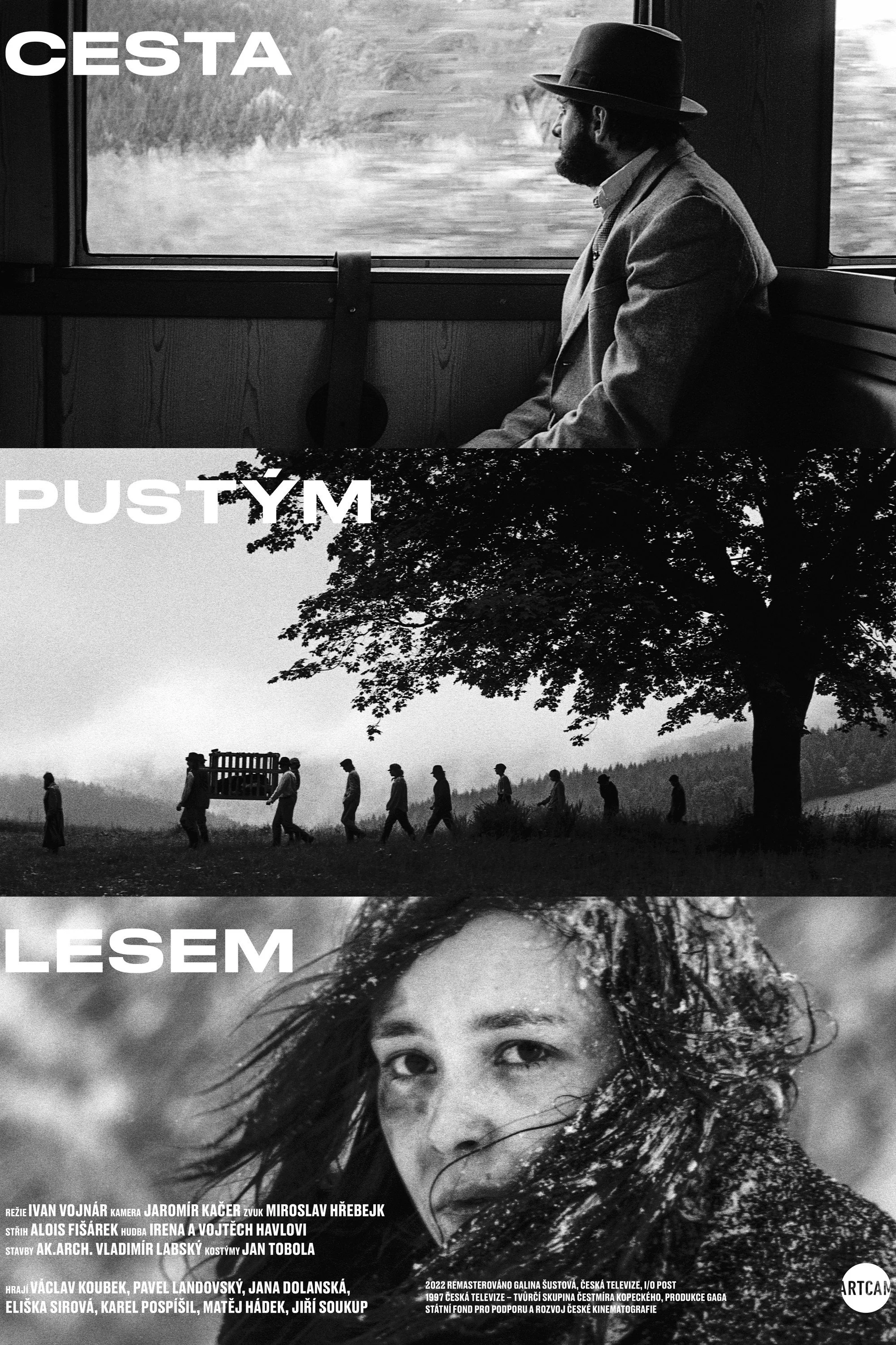 راهی از میان جنگل‌های تاریک