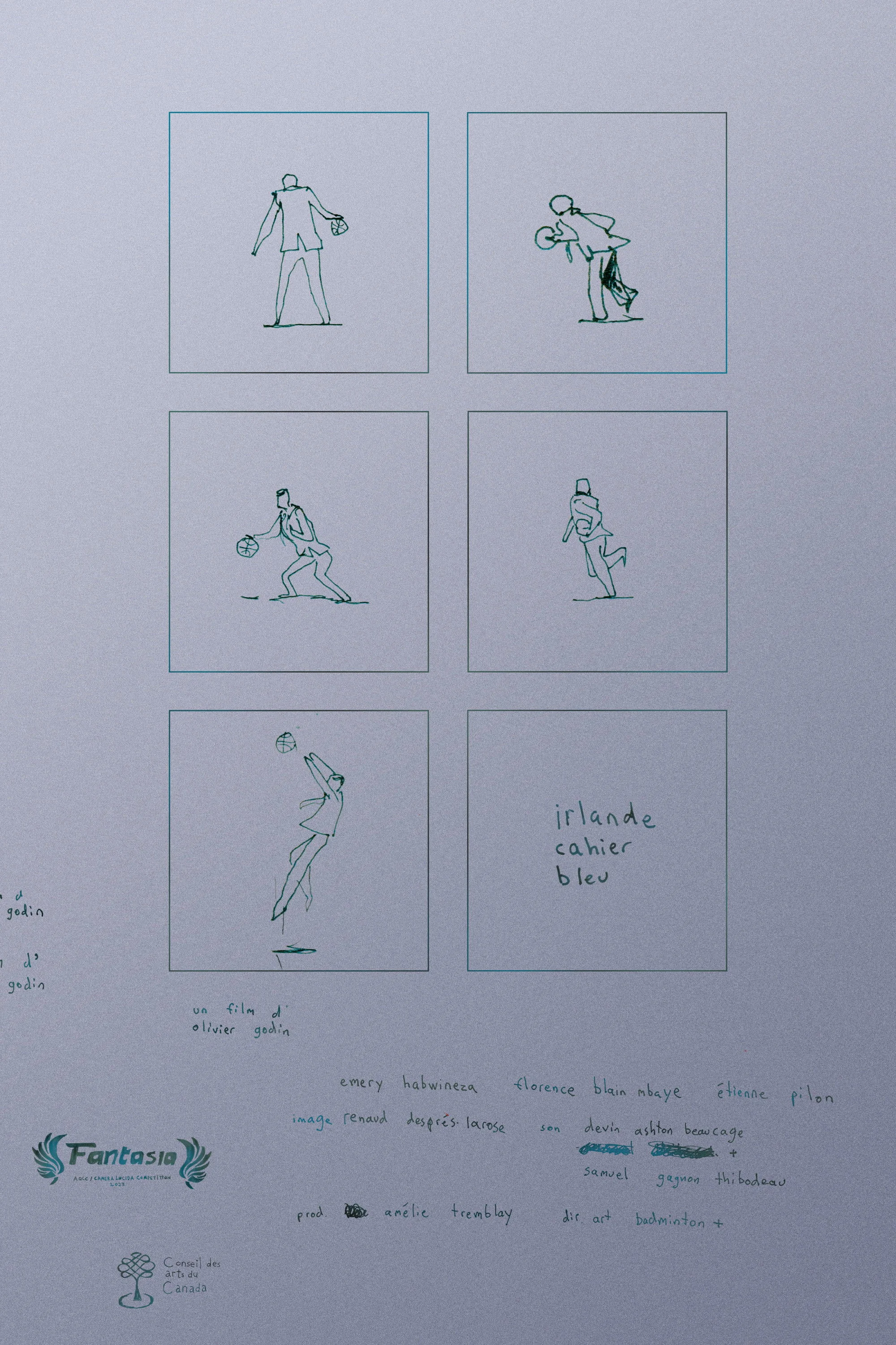 ایرلند دفتر آبی