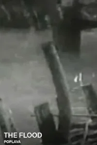 The Flood