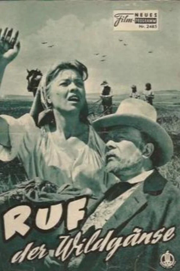 فریاد غازهای وحشی