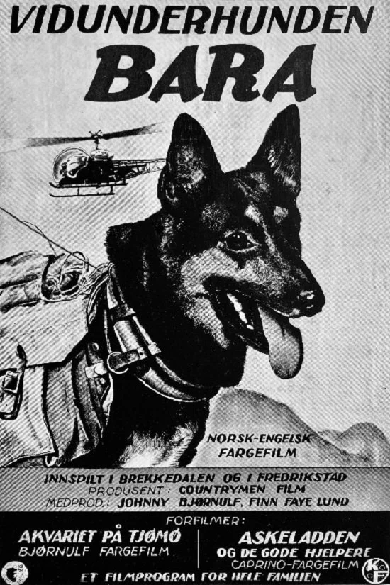 سگ شگفت‌انگیز بارا