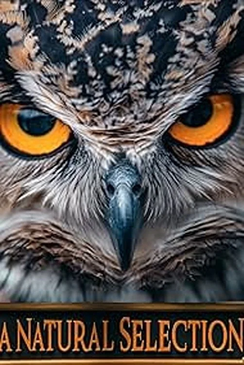 انتخاب طبیعی