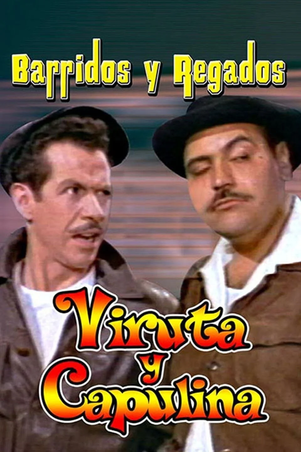 پاکسازی و آبیاری