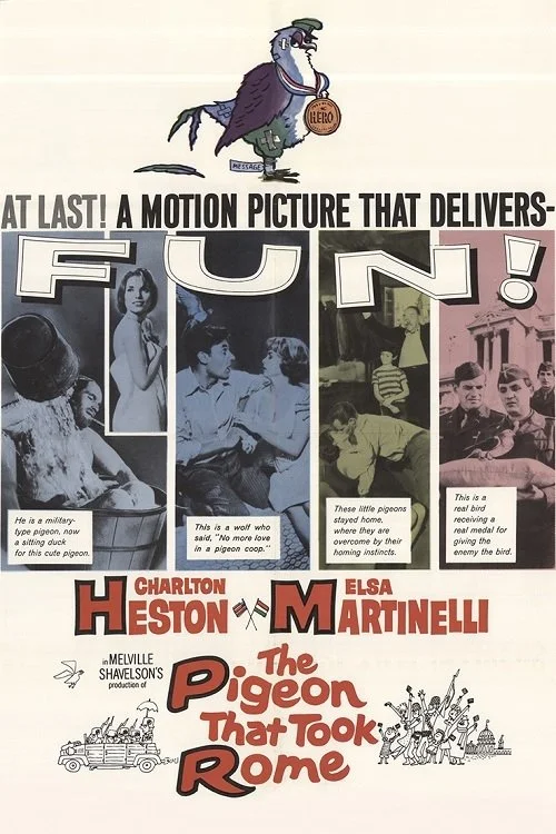 کبوترهایی که رم را گرفتند