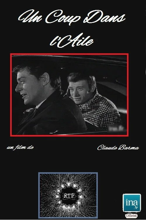 یک ضربه به بال