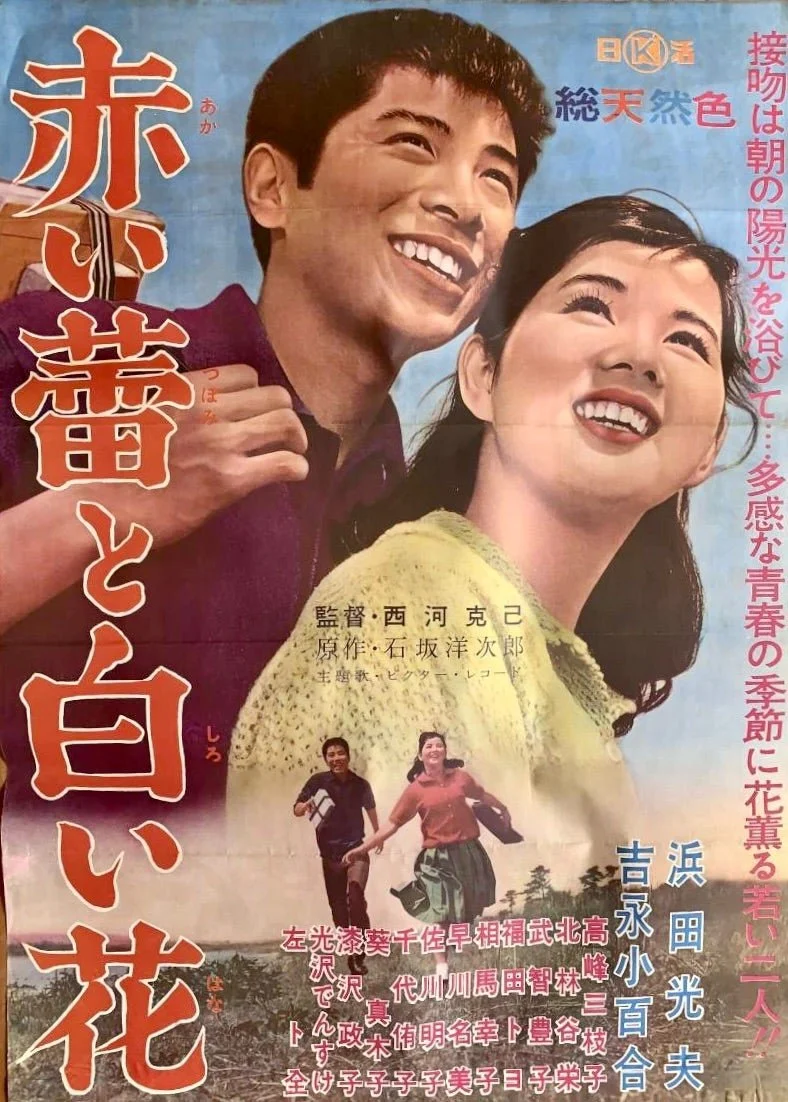 گل قرمز و گل سفید