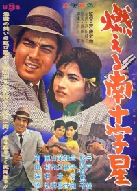 Moeru minamijūjisei