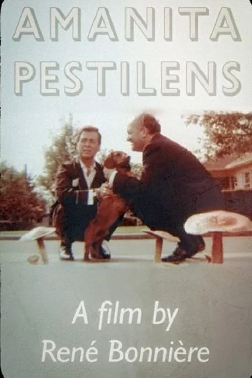 آمانیتا پستیلنس