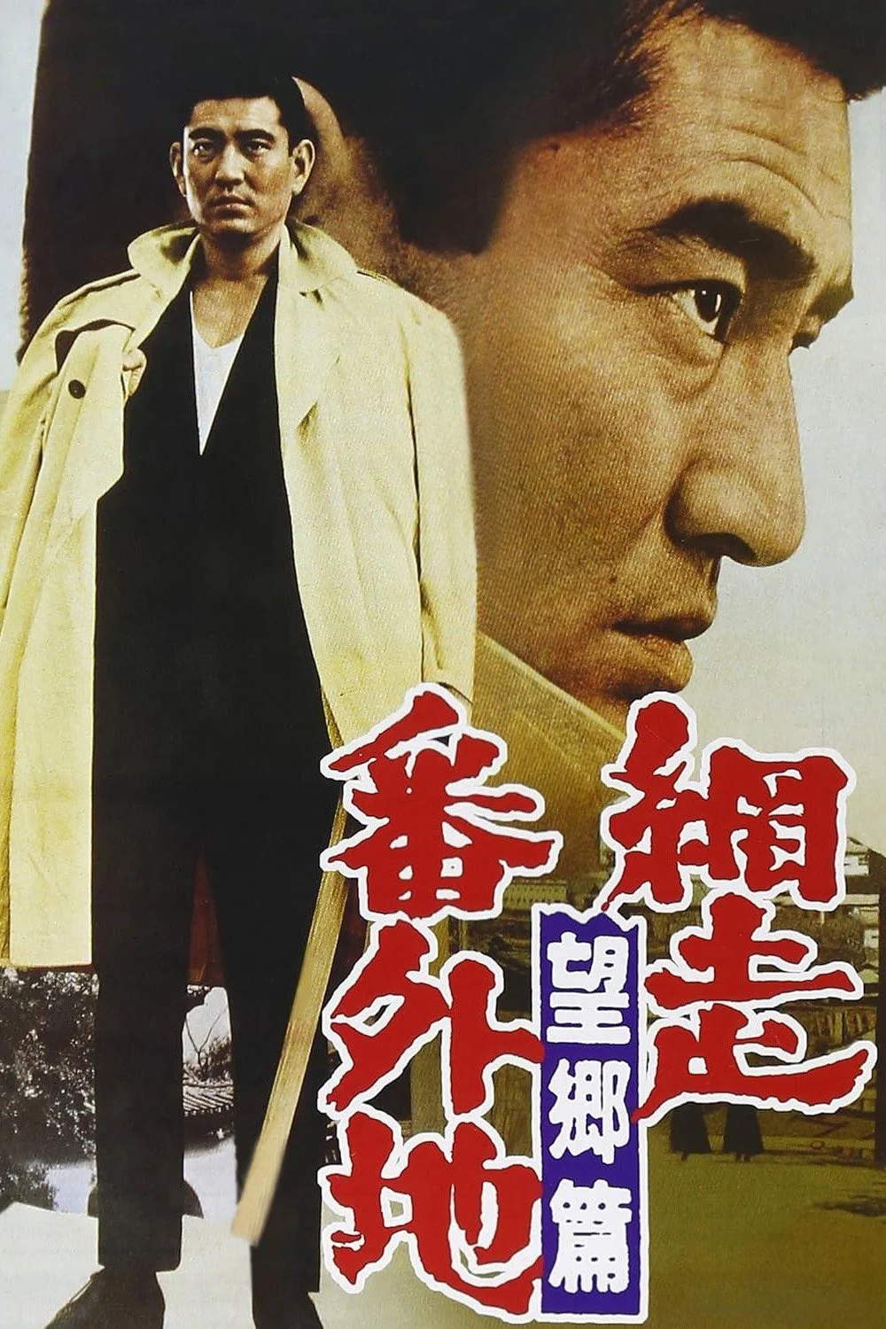 دیوارهای زندان آباشیری ۳