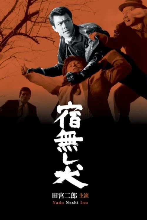 سگ بی خانمان