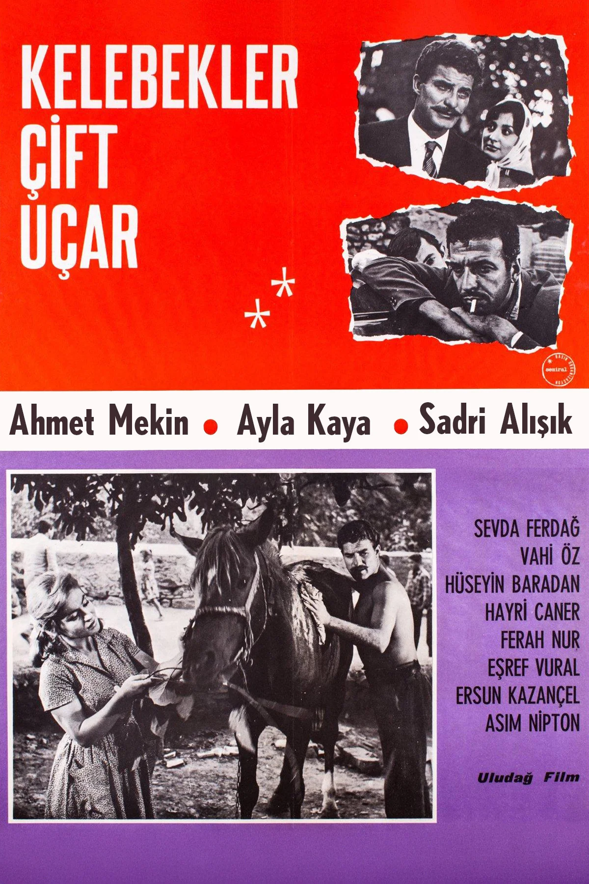 کرم‌های پروانه دو پرواز می‌کنند