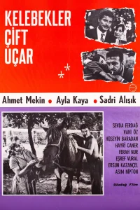 Kelebekler Çift Uçar