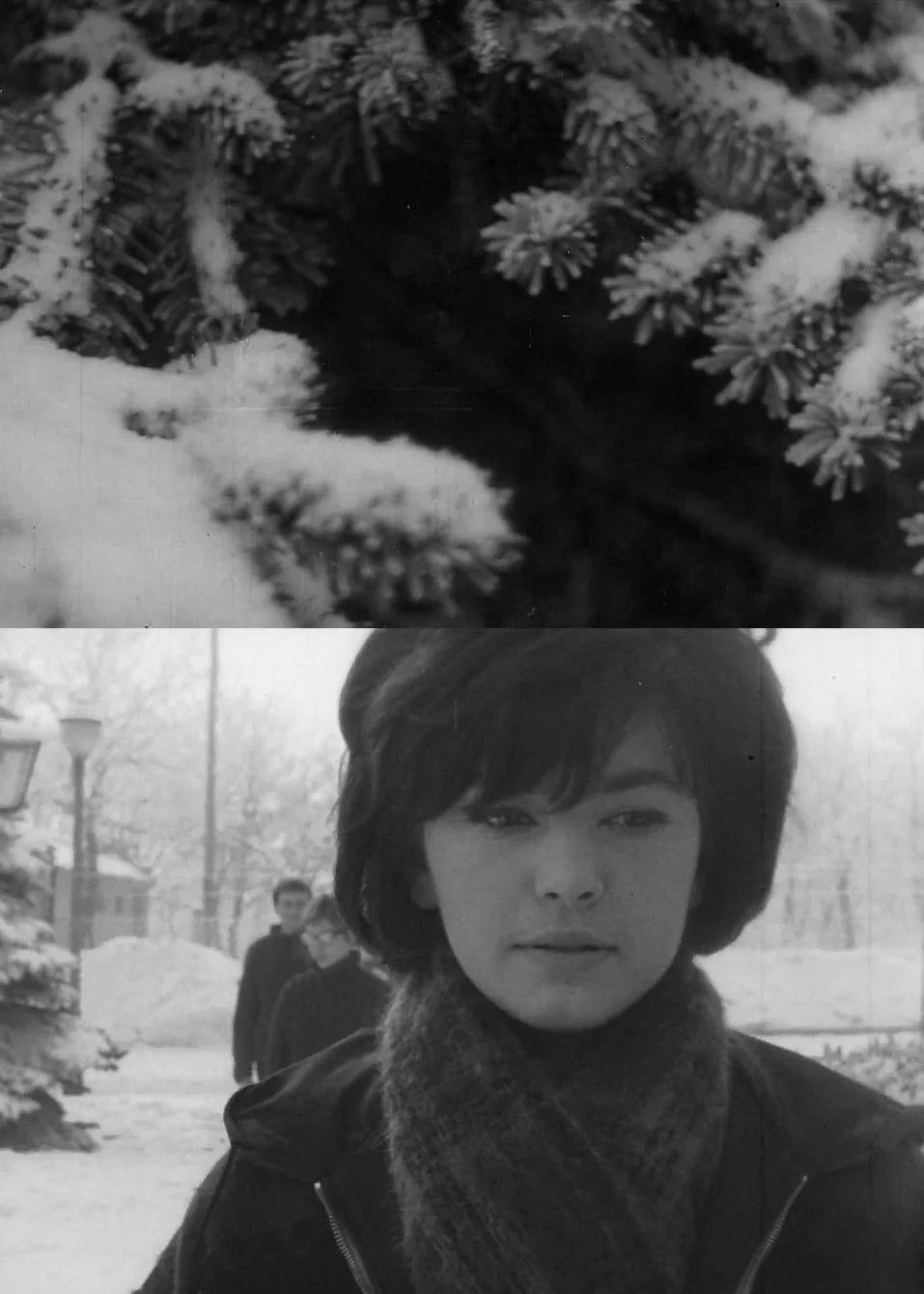 تراس منهای ده درجه