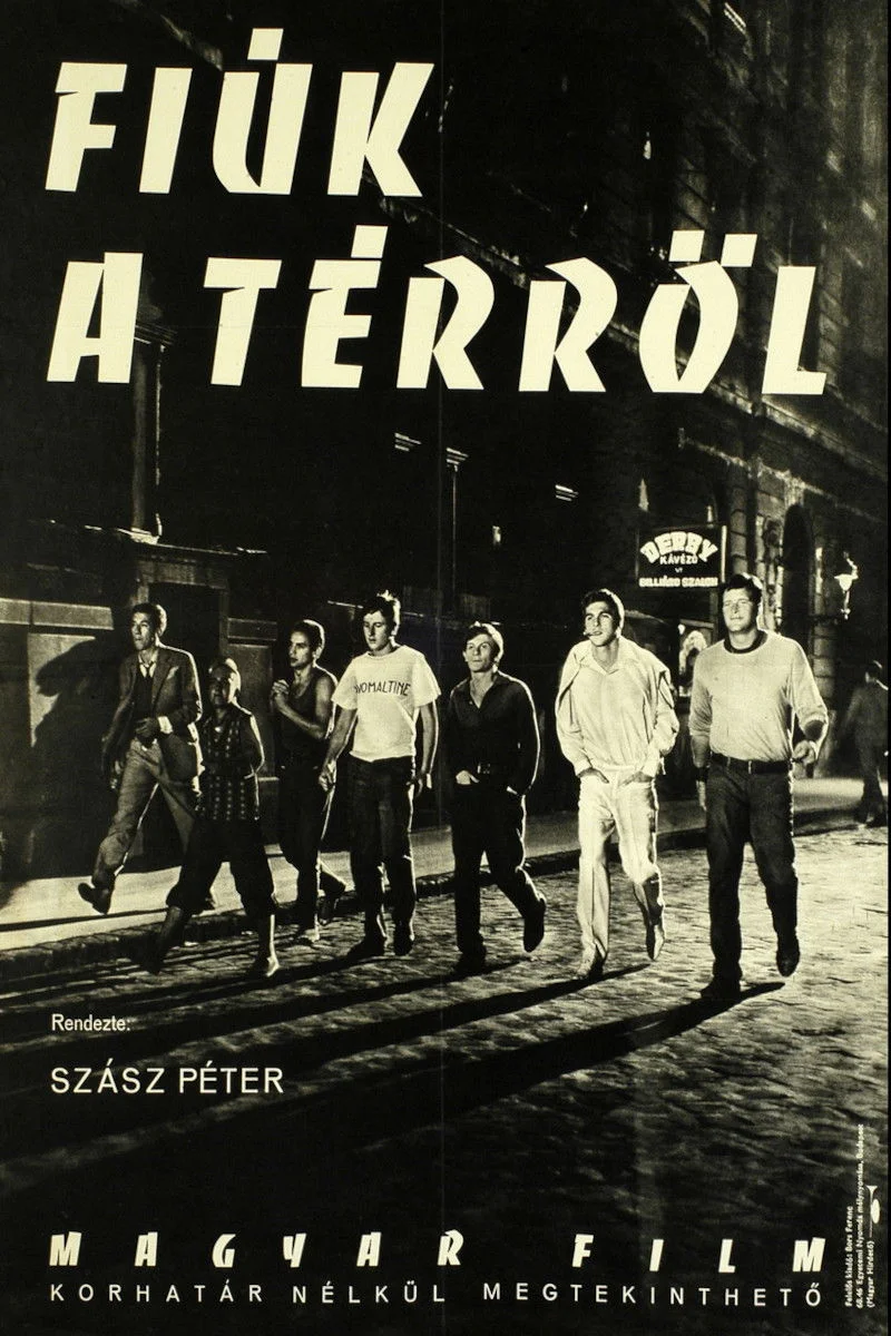 پسران از میدان