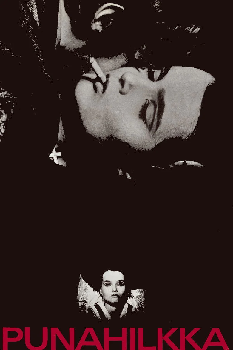 پونه‌هیلکا