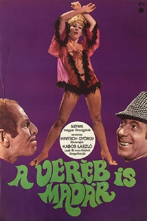 گنجشک‌ها هم پرنده هستند