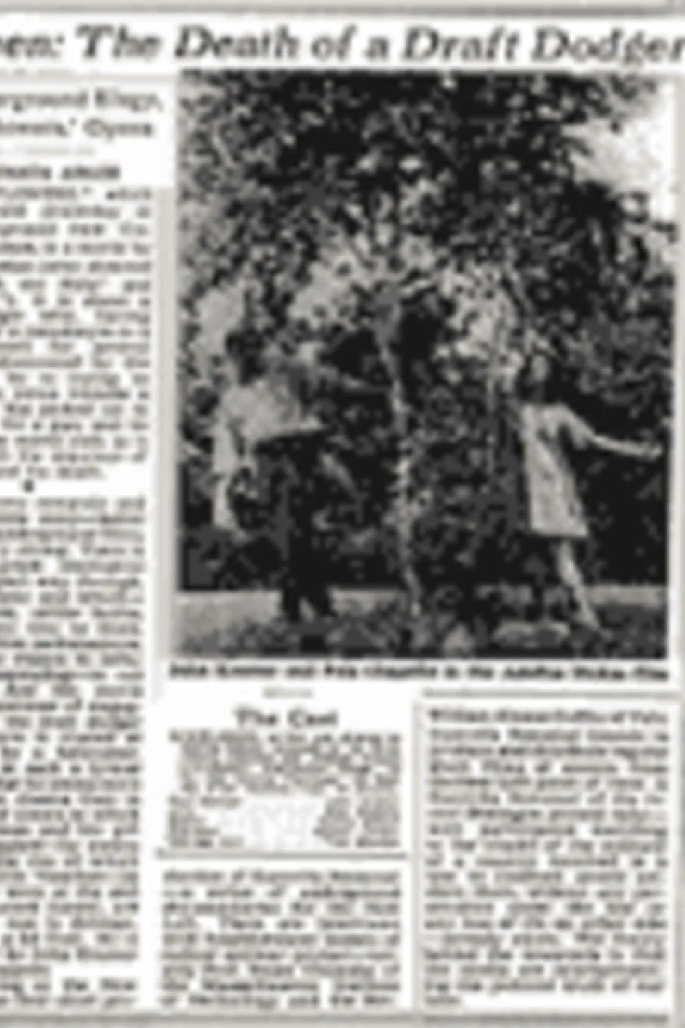 گل‌های باد