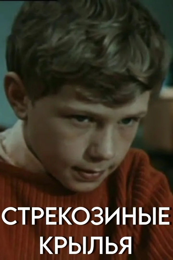 بال‌های سنجاقک