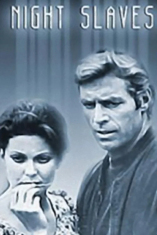 برده‌های شب