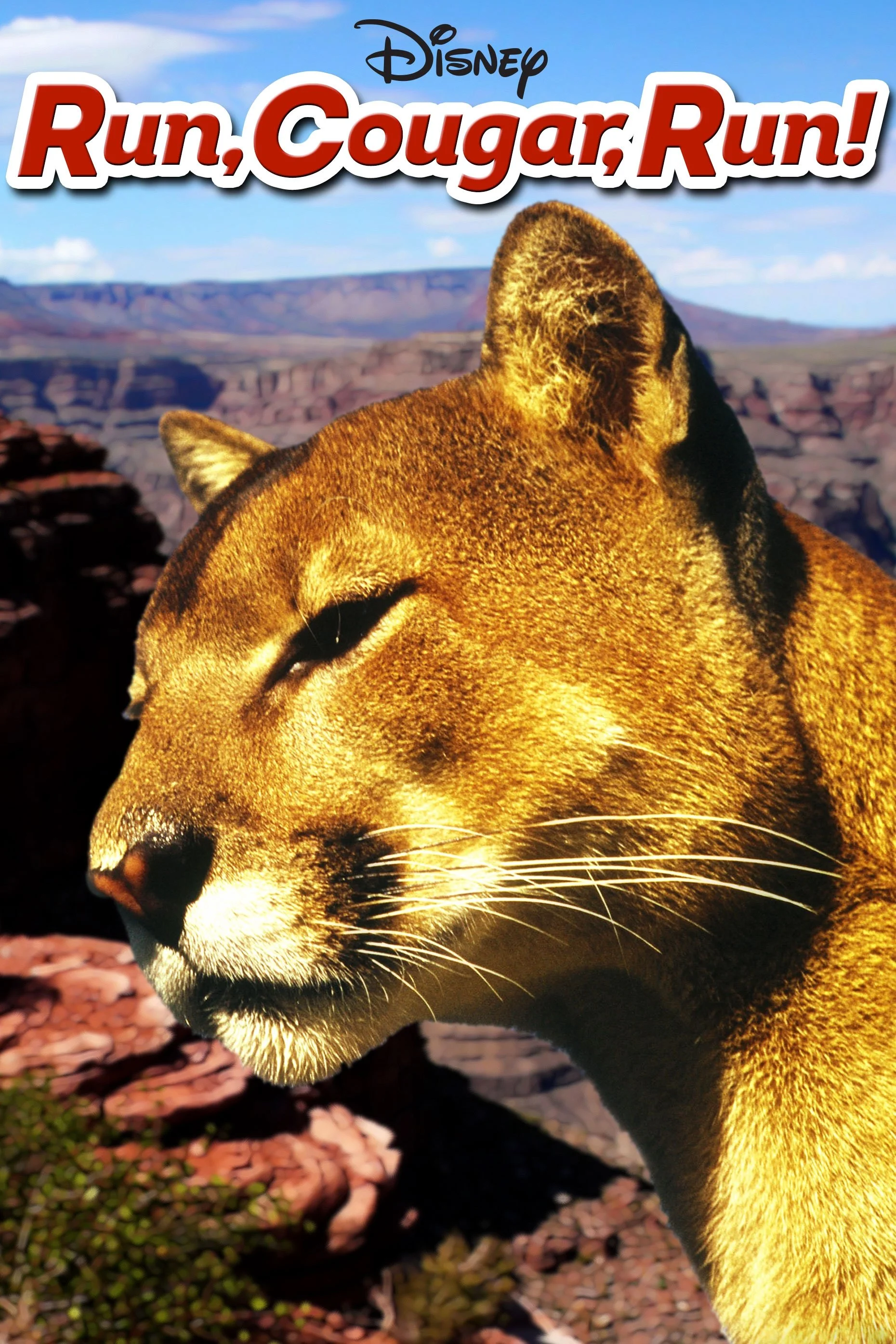 بدو، پلنگ، بدو