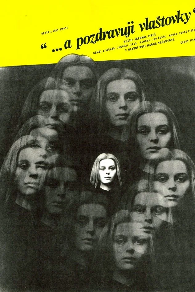 و عشق من را به پرستوها برسانید